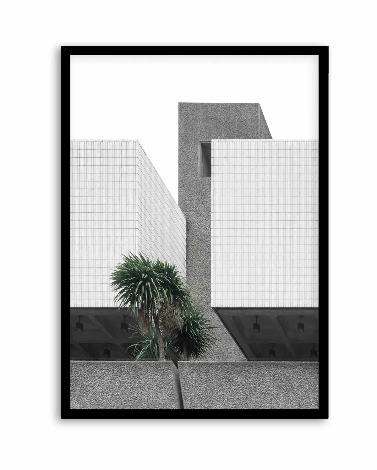 Lonely Palms By Minorstep | Art Print from Olive et Oriel where you can shop wallpaper and artworks online