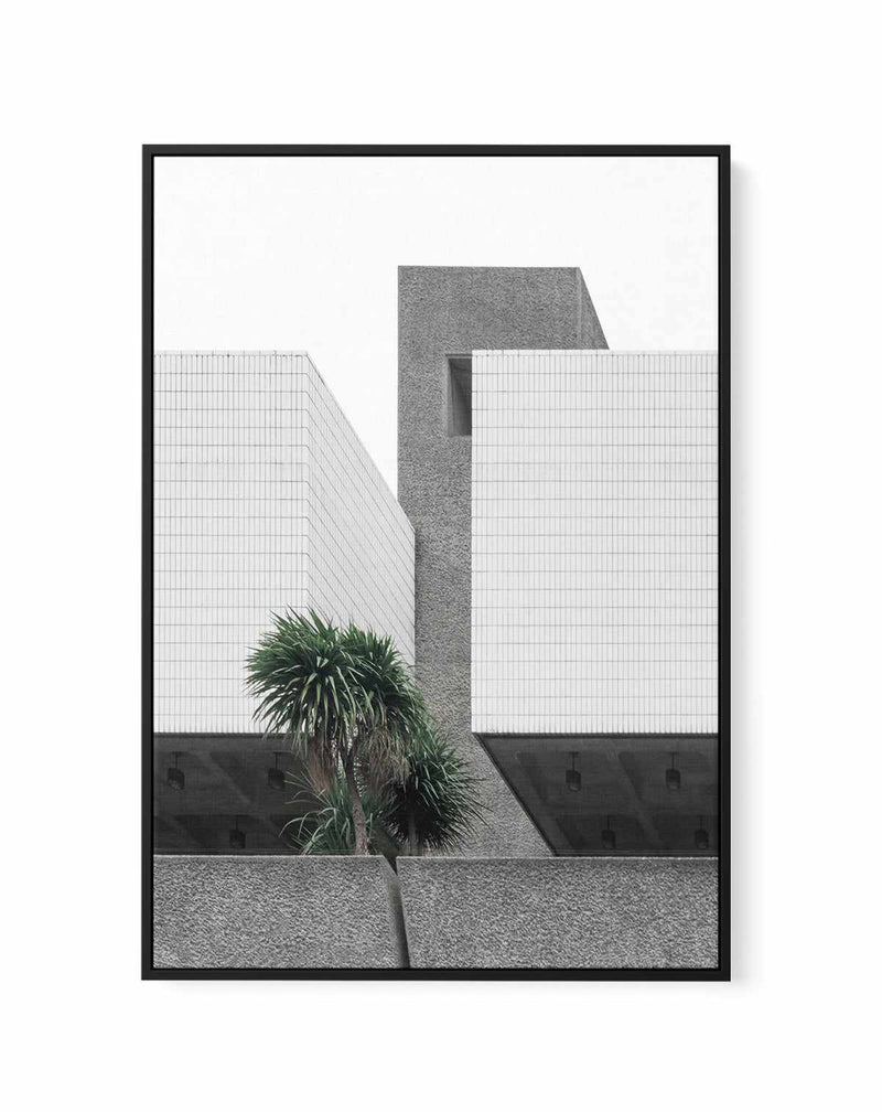 Lonely Palms By Minorstep | Framed Canvas Art Print