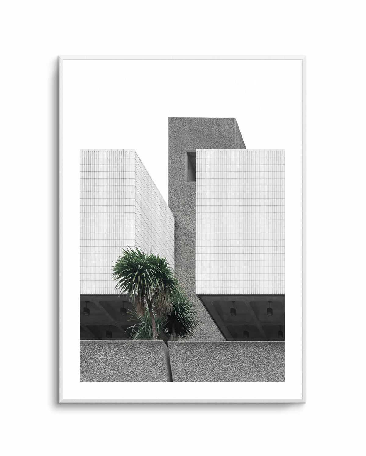 Lonely Palms By Minorstep | Art Print