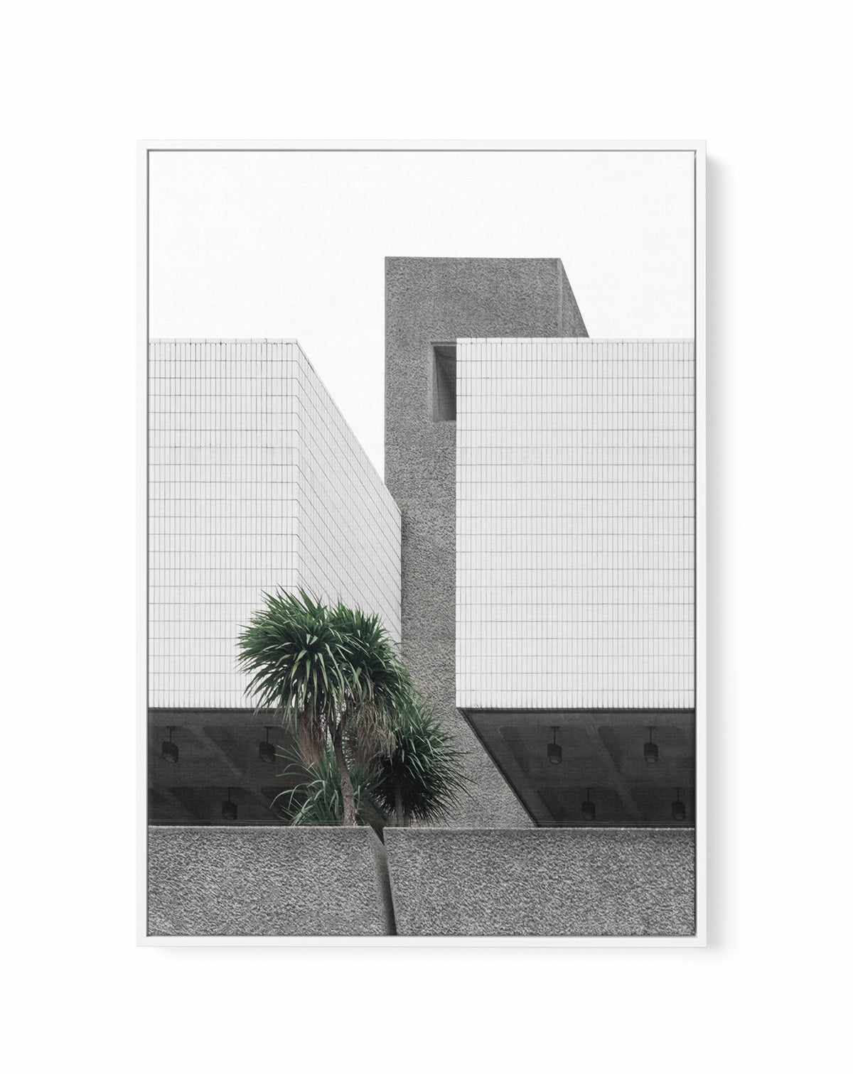 Lonely Palms By Minorstep | Framed Canvas Art Print