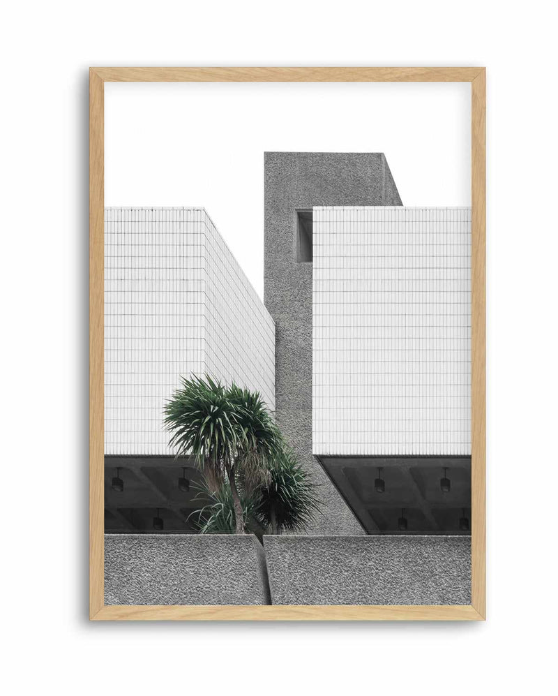 Lonely Palms By Minorstep | Art Print