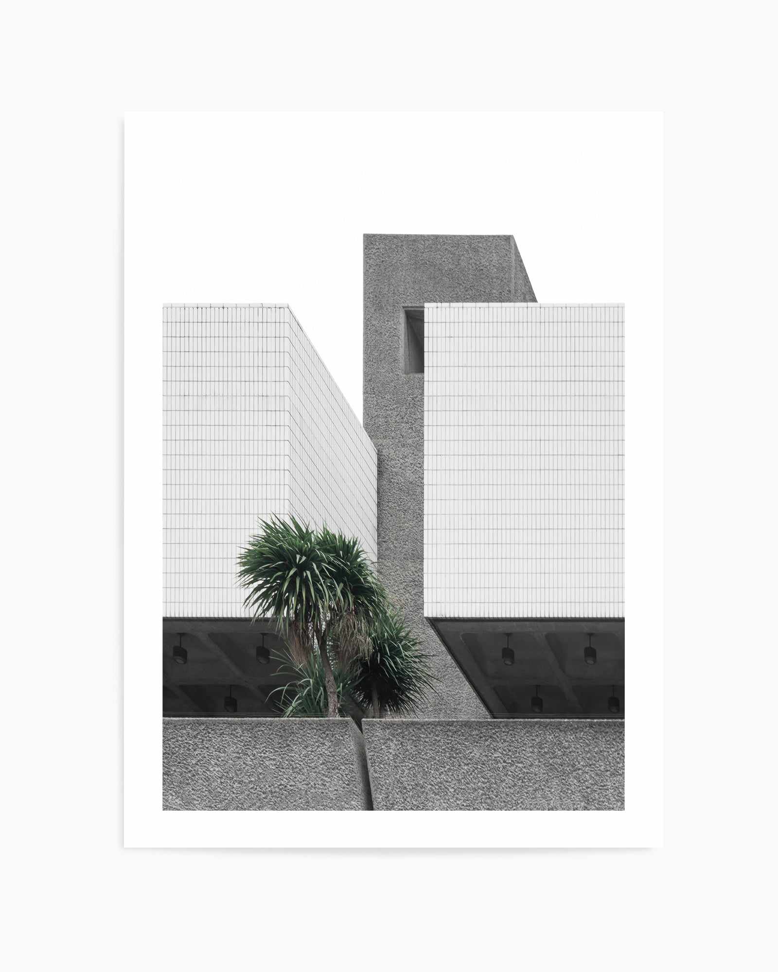 Lonely Palms By Minorstep | Art Print from Olive et Oriel where you can shop wallpaper and artworks online