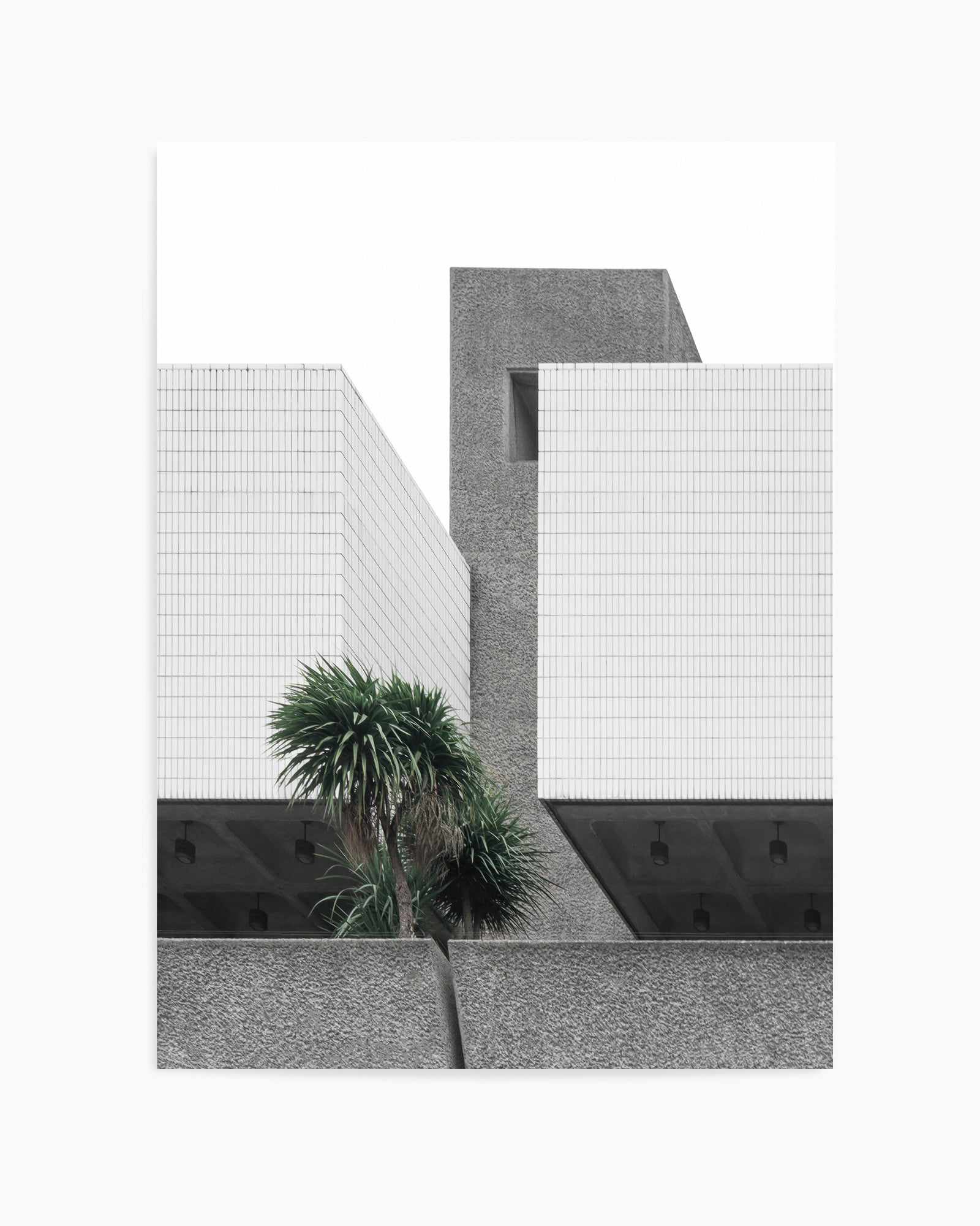 Lonely Palms By Minorstep | Art Print from Olive et Oriel where you can shop wallpaper and artworks online