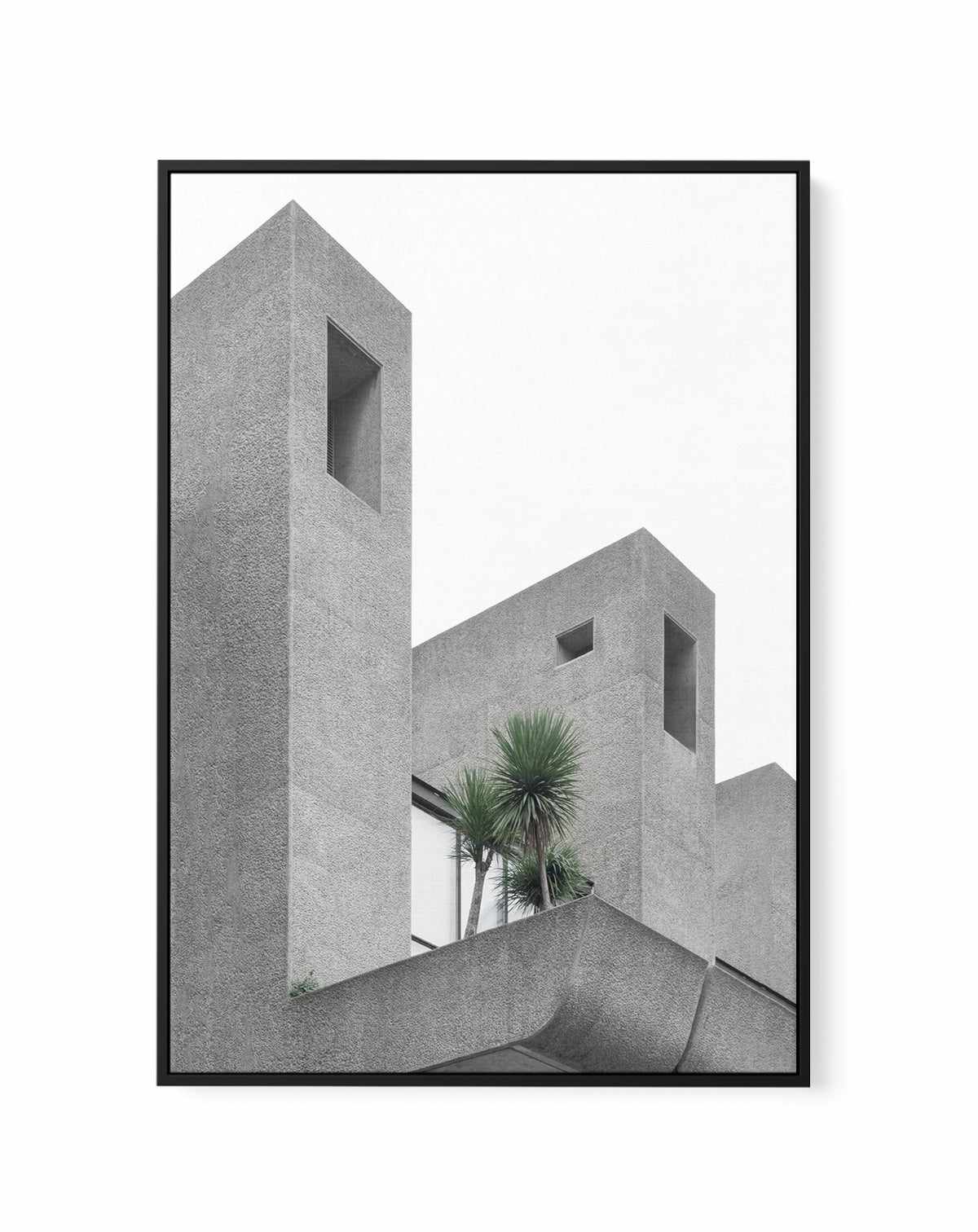 Lonely Palms No 2 By Minorstep | Framed Canvas Art Print from Olive et Oriel where you can shop wallpaper and artworks online
