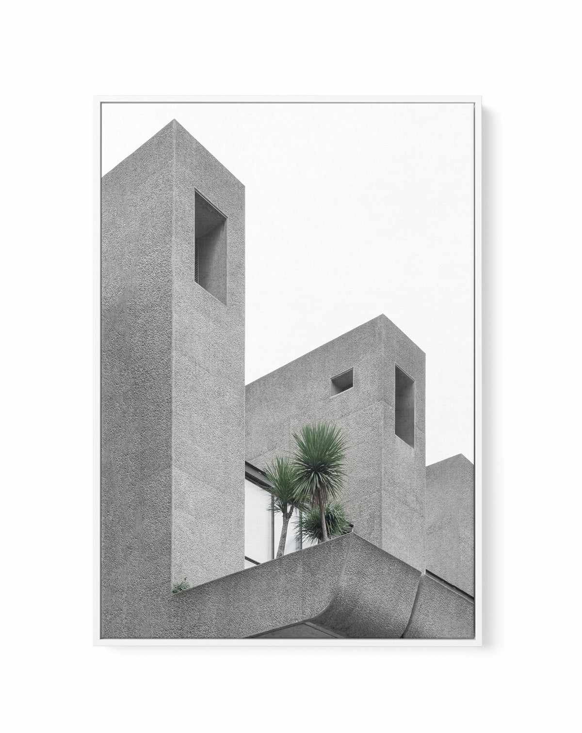 Lonely Palms No 2 By Minorstep | Framed Canvas Art Print from Olive et Oriel where you can shop wallpaper and artworks online