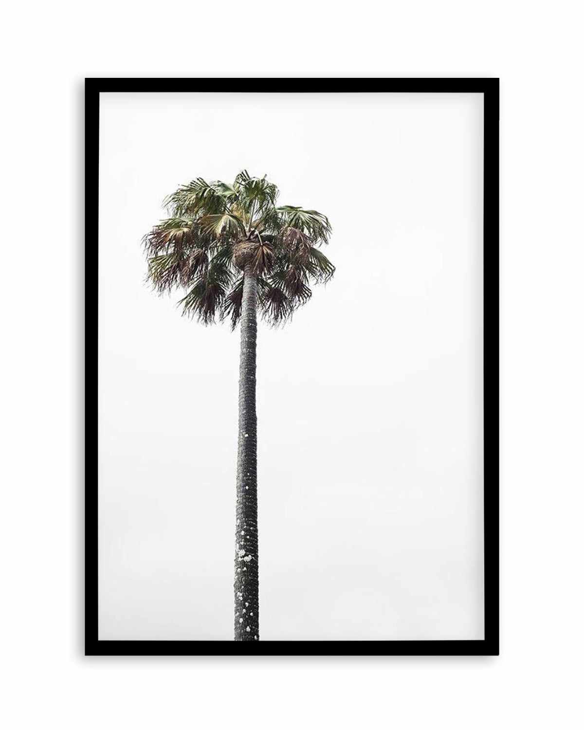 Lonesome Palm Art Print