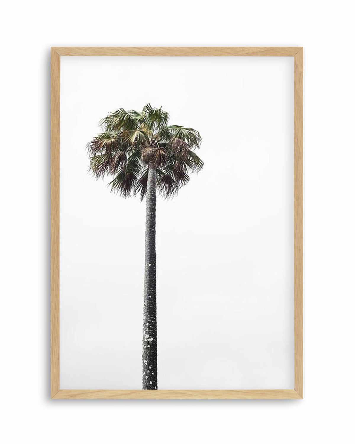 Lonesome Palm Art Print