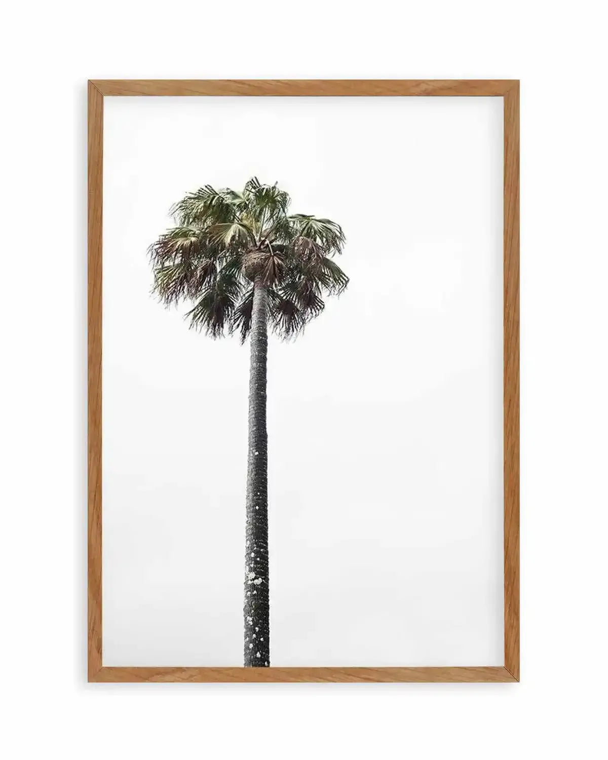 Lonesome Palm Art Print from Olive et Oriel where you can shop wallpaper and artworks online