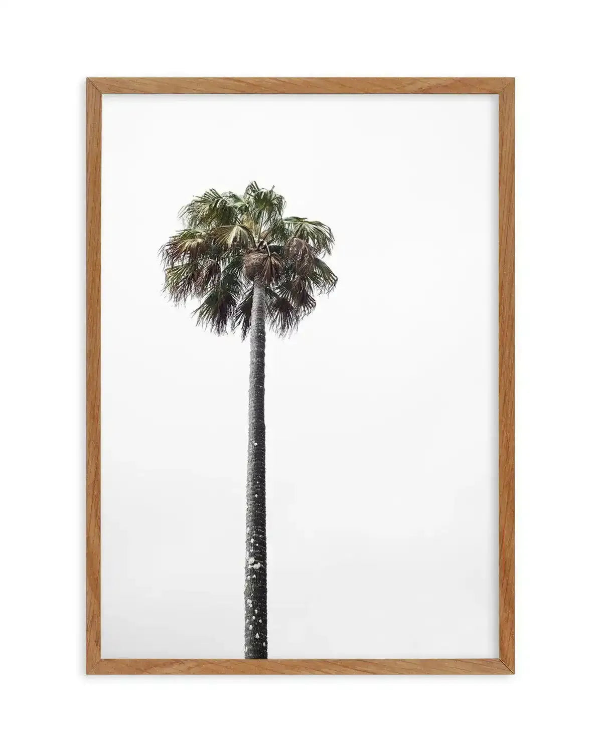 Lonesome Palm Art Print-PRINT-Olive et Oriel-Olive et Oriel-50x70 cm | 19.6" x 27.5"-Walnut-With White Border-Buy-Australian-Art-Prints-Online-with-Olive-et-Oriel-Your-Artwork-Specialists-Austrailia-Decorate-With-Coastal-Photo-Wall-Art-Prints-From-Our-Beach-House-Artwork-Collection-Fine-Poster-and-Framed-Artwork