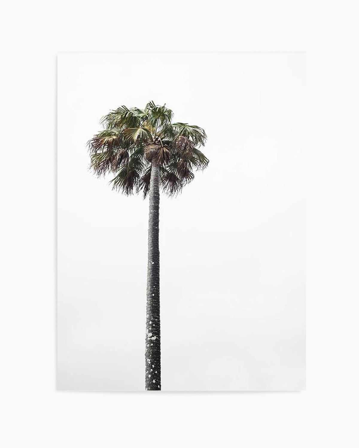 Lonesome Palm Art Print