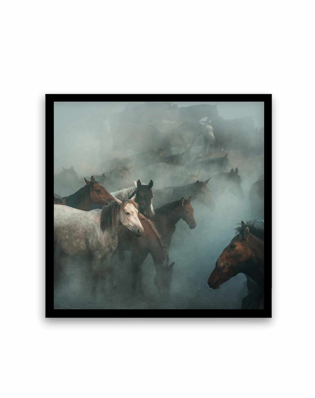 Lost Horses By Huseyin Taskin | Art Print