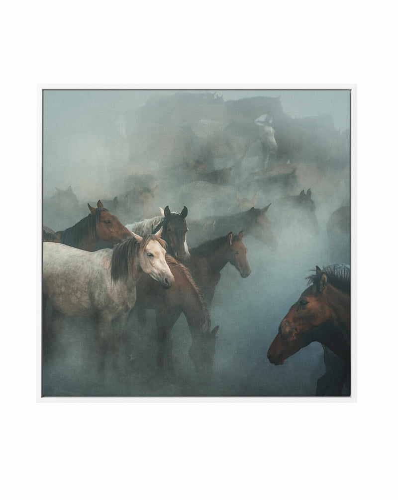 Lost Horses By Huseyin Taskin | Framed Canvas Art Print