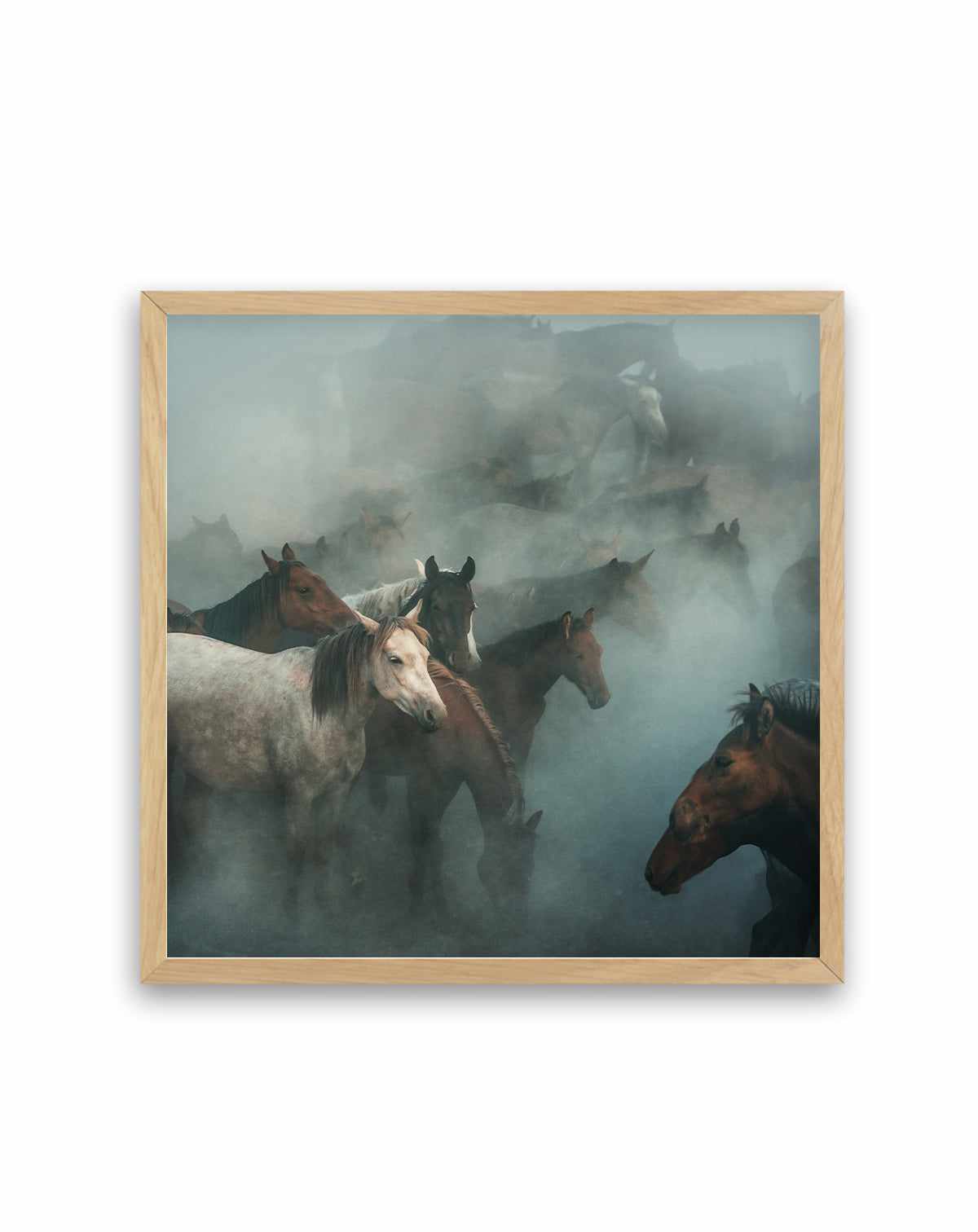 Lost Horses By Huseyin Taskin | Art Print