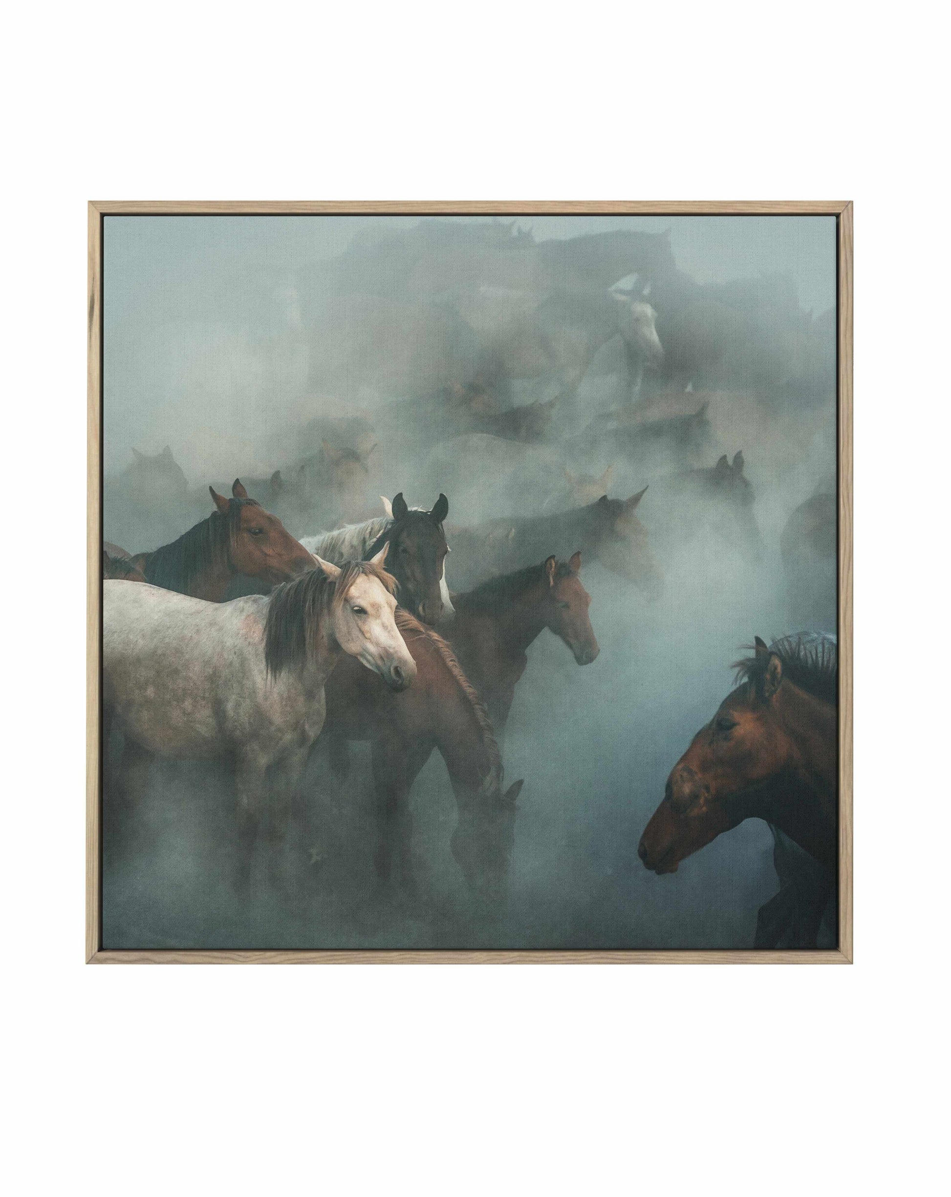 Lost Horses By Huseyin Taskin | Framed Canvas Art Print from Olive et Oriel where you can shop wallpaper and artworks online