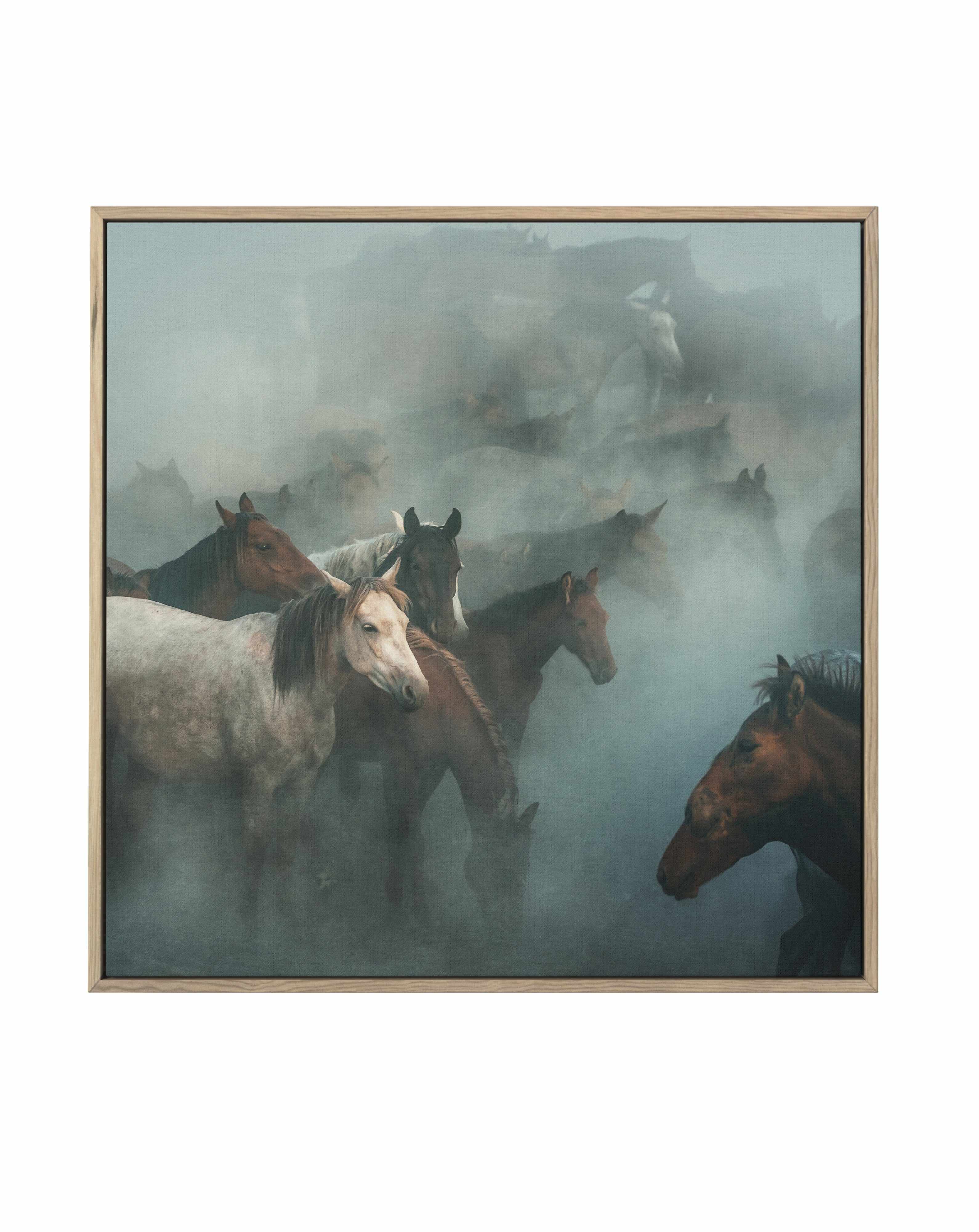 Lost Horses By Huseyin Taskin | Framed Canvas Art Print from Olive et Oriel where you can shop wallpaper and artworks online