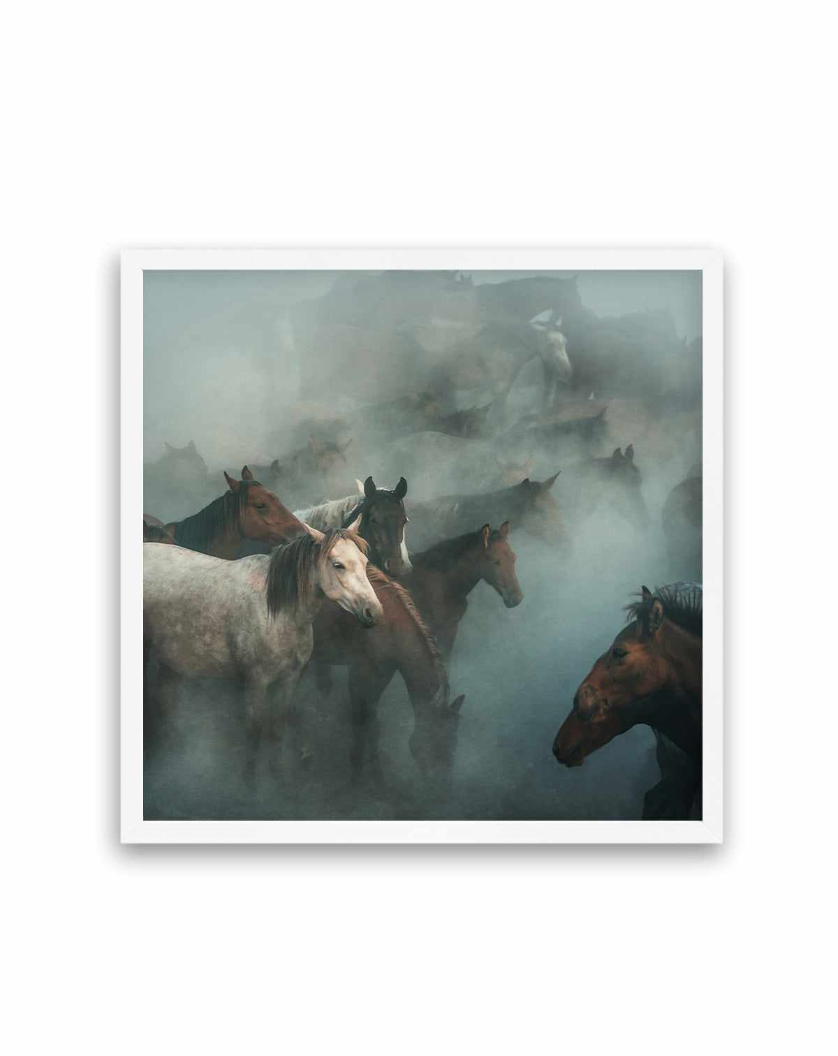 Lost Horses By Huseyin Taskin | Art Print