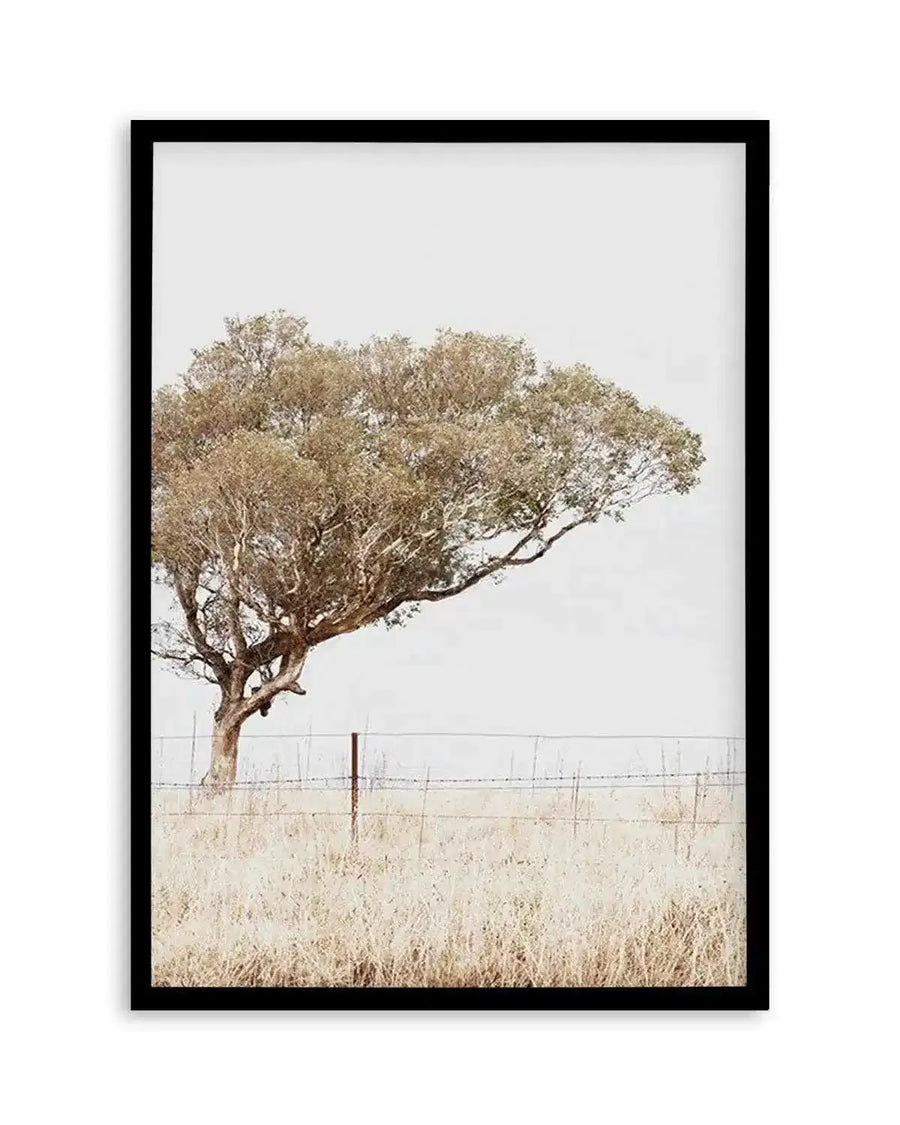 Premium lost-in-the-fields from Olive et Oriel