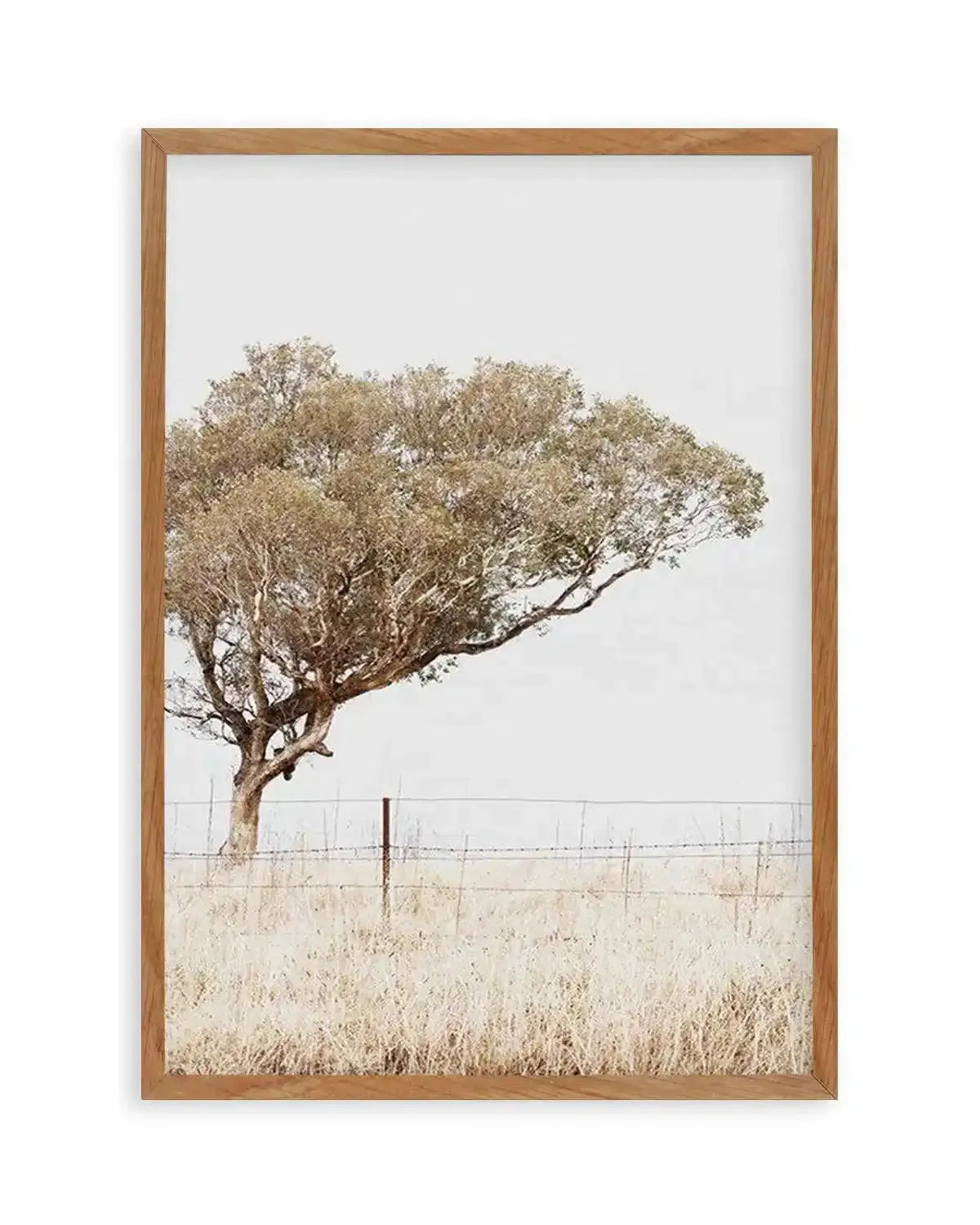 Lost In The Fields Art Print from Olive et Oriel where you can shop wallpaper and artworks online