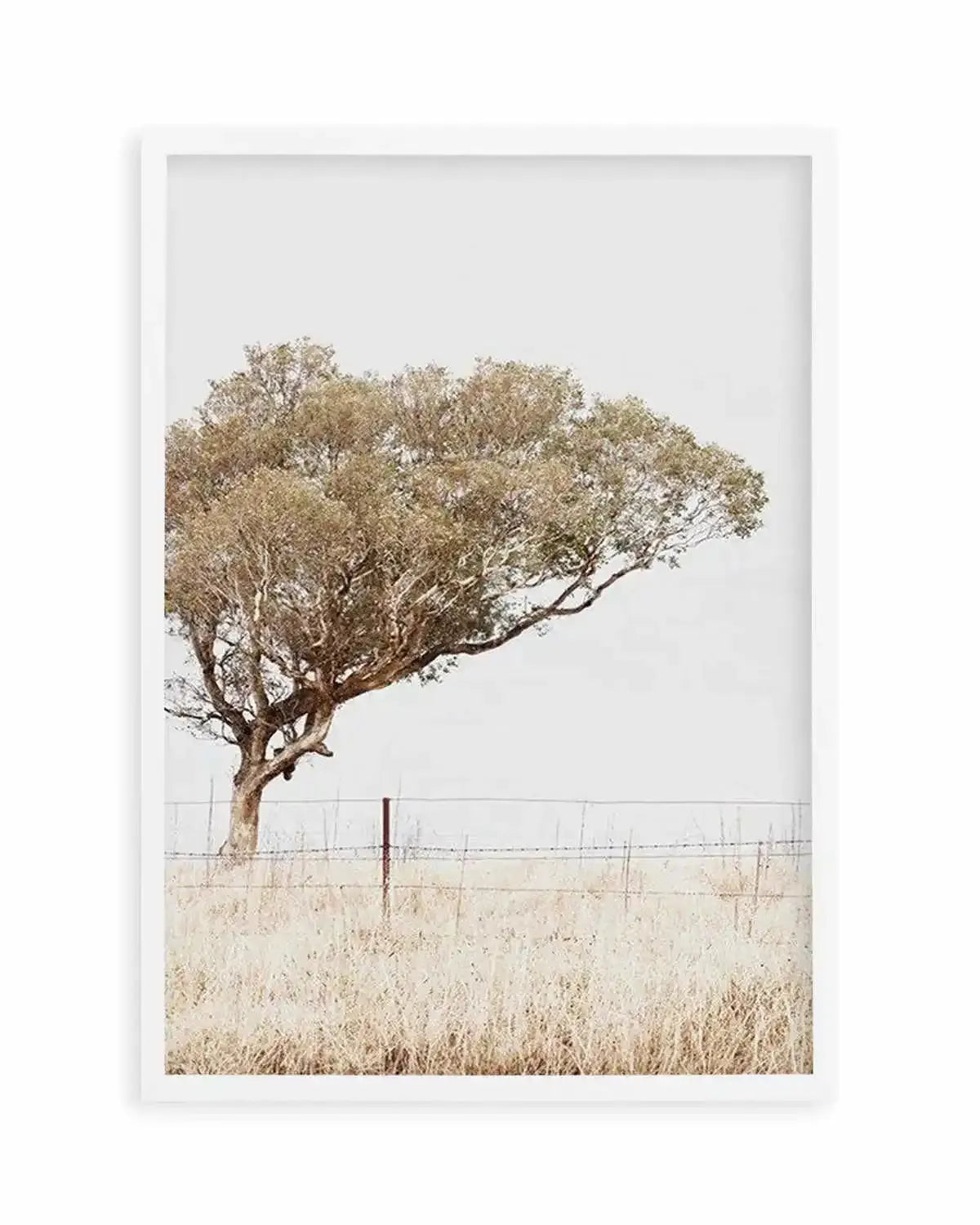 Lost In The Fields Art Print from Olive et Oriel where you can shop wallpaper and artworks online