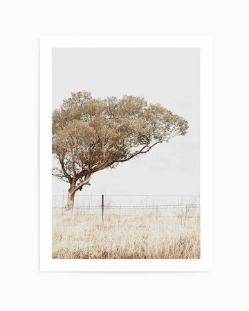 Framed art print featuring a solitary tree with a gnarled trunk and dense, windswept canopy in muted sage and tan tones, bending slightly to the right. The tree stands in a sparse, dry grassland with a weathered wire fence visible at its base. Pale overcast sky fills the upper portion. Photograph-style image with neutral, earthy palette. White frame with white border.