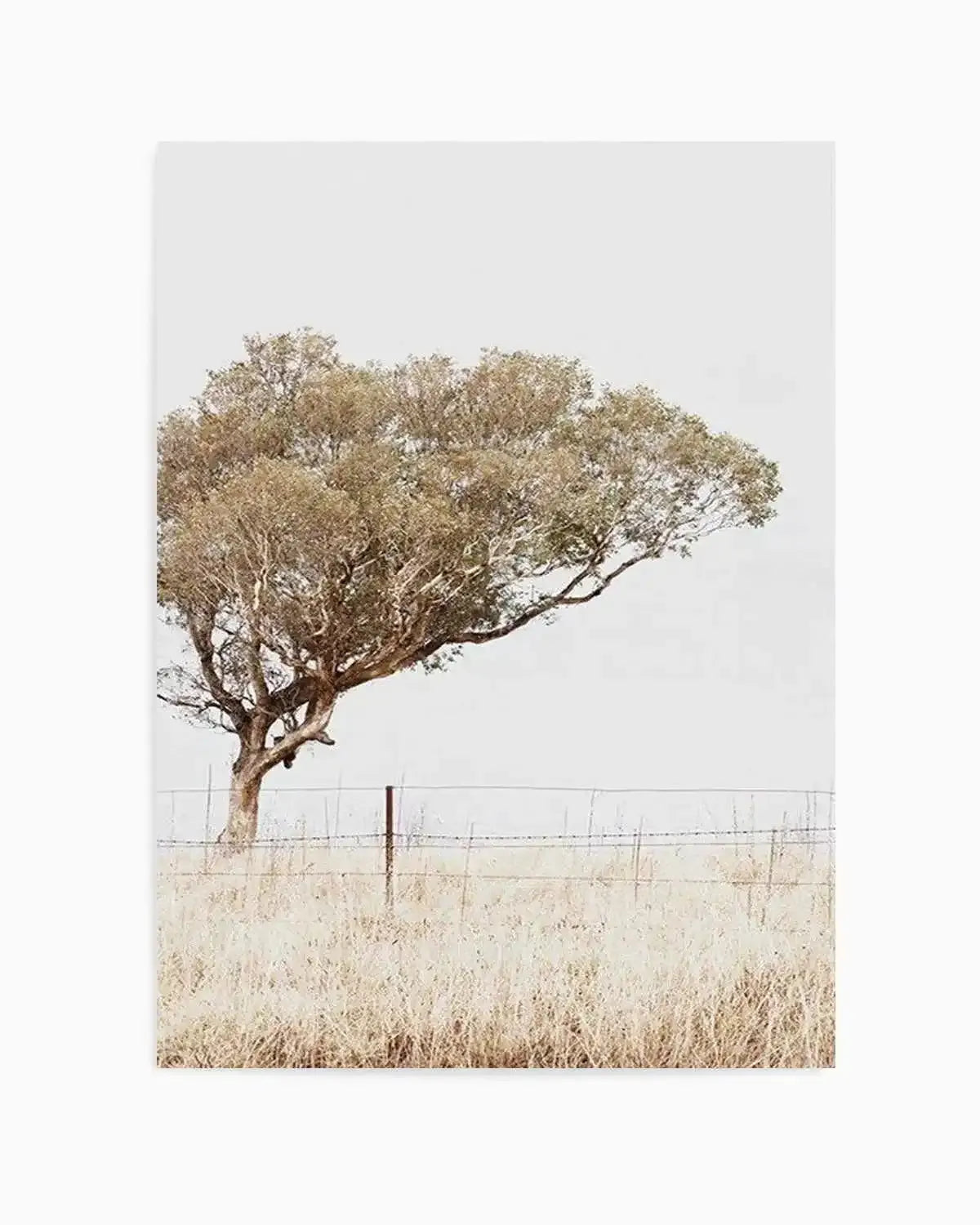Lost In The Fields Art Print from Olive et Oriel where you can shop wallpaper and artworks online