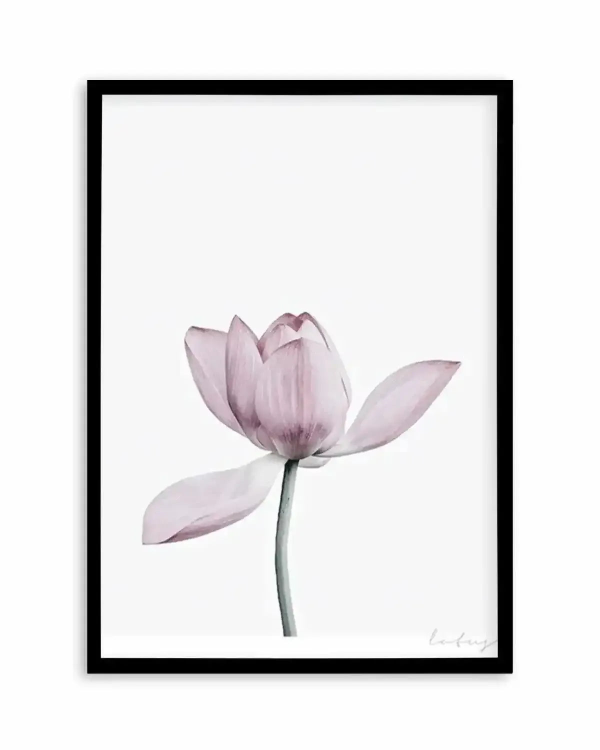 Lotus I Art Print from Olive et Oriel where you can shop wallpaper and artworks online