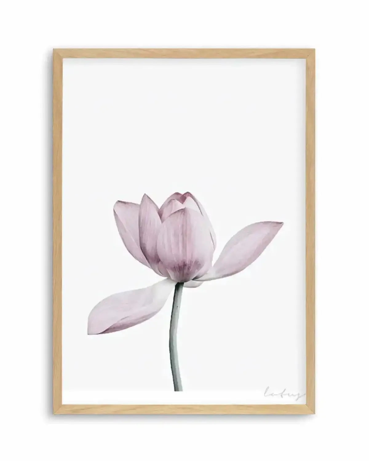 Lotus I Art Print from Olive et Oriel where you can shop wallpaper and artworks online