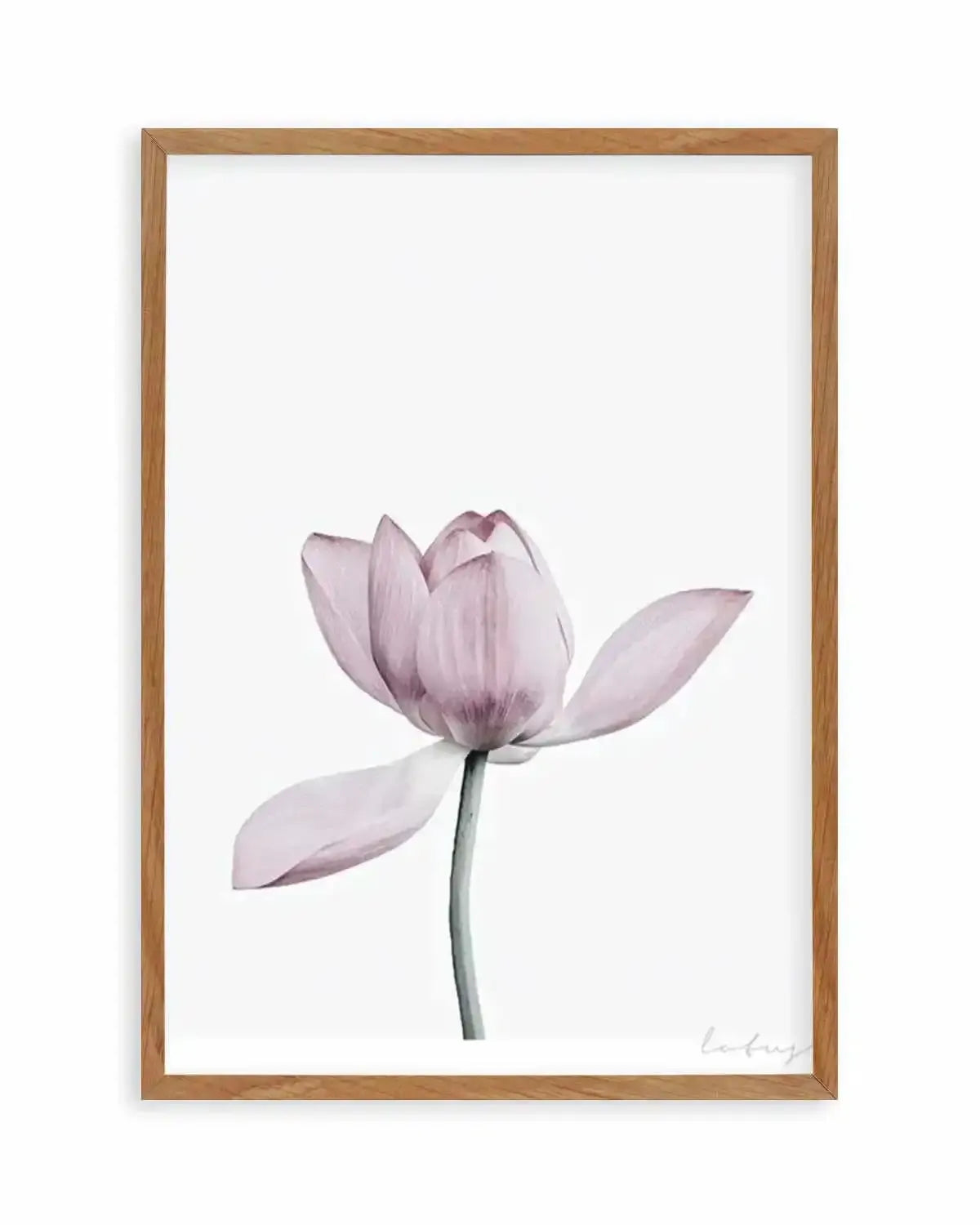 Lotus I Art Print from Olive et Oriel where you can shop wallpaper and artworks online