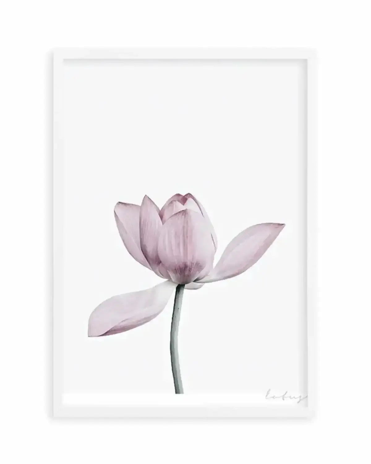 Lotus I Art Print from Olive et Oriel where you can shop wallpaper and artworks online