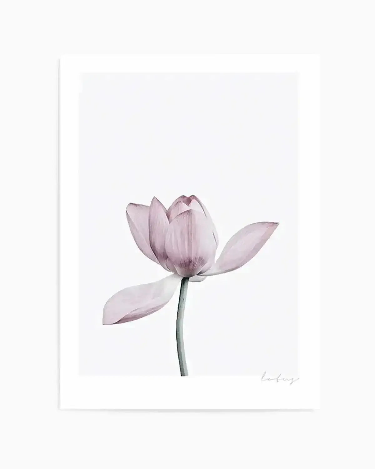 Lotus I Art Print from Olive et Oriel where you can shop wallpaper and artworks online