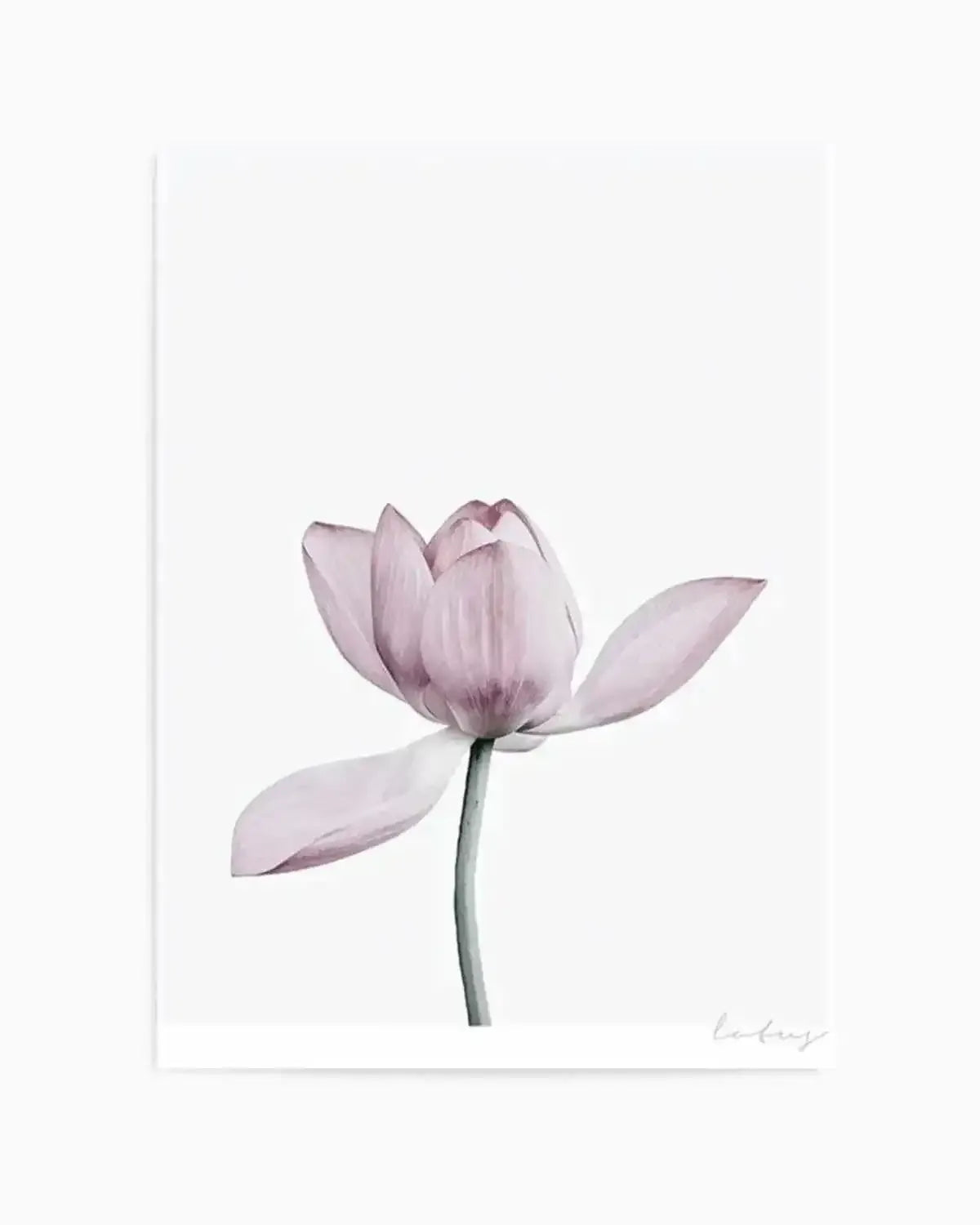 Lotus I Art Print from Olive et Oriel where you can shop wallpaper and artworks online