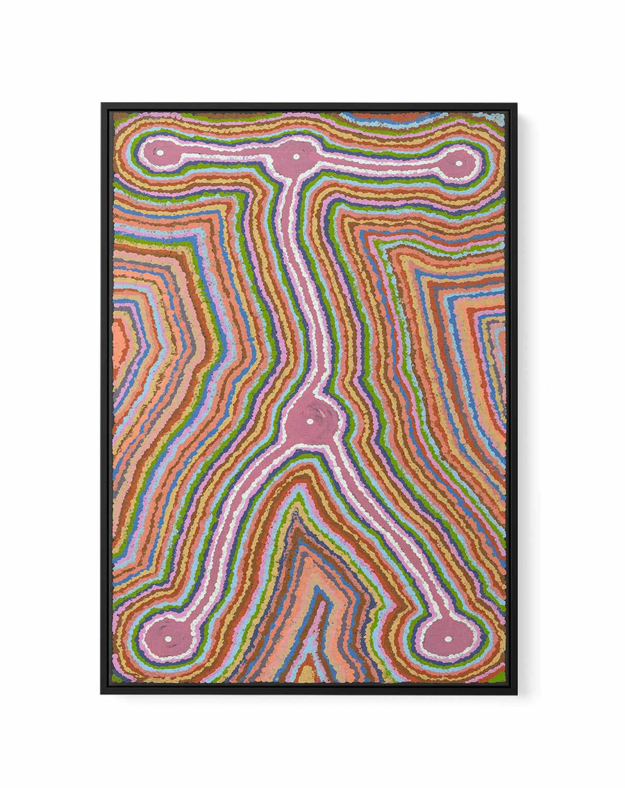 Lukarrara Jukurrpa II (Desert Fringe-rush Seed Dreaming) by Valentine Nakamarra White | Framed Canvas Art Print from Olive et Oriel where you can shop wallpaper and artworks online
