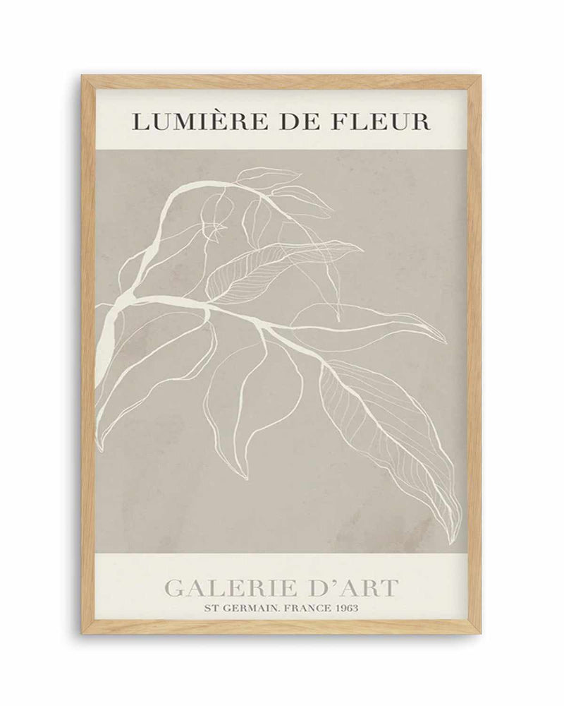 Lumiere De Fleur I Art Print