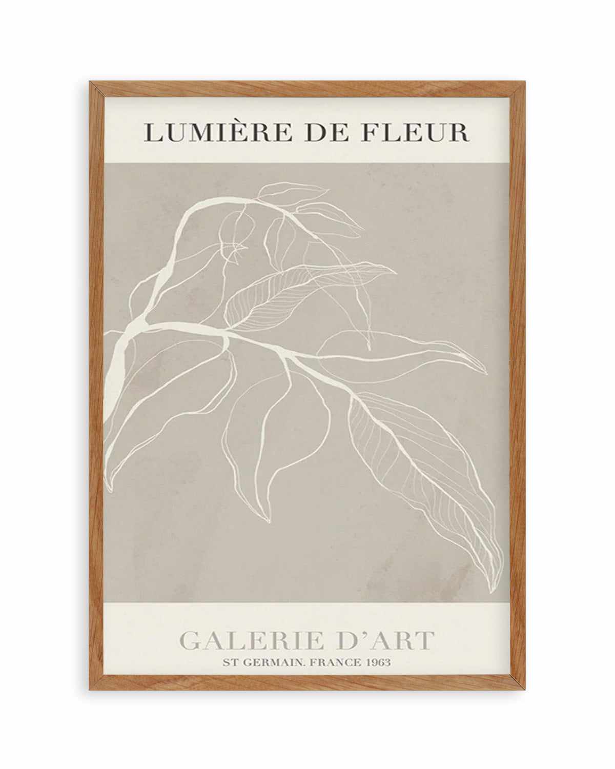 Lumiere De Fleur I Art Print