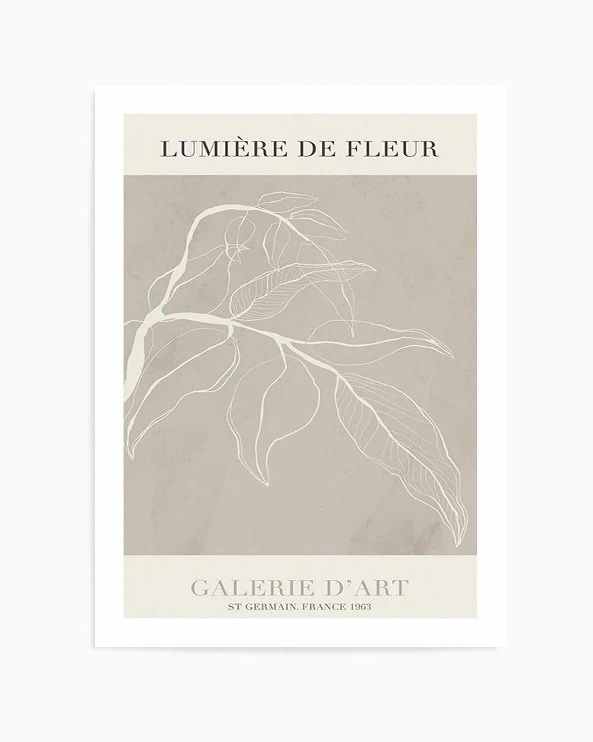 Lumiere De Fleur I Art Print