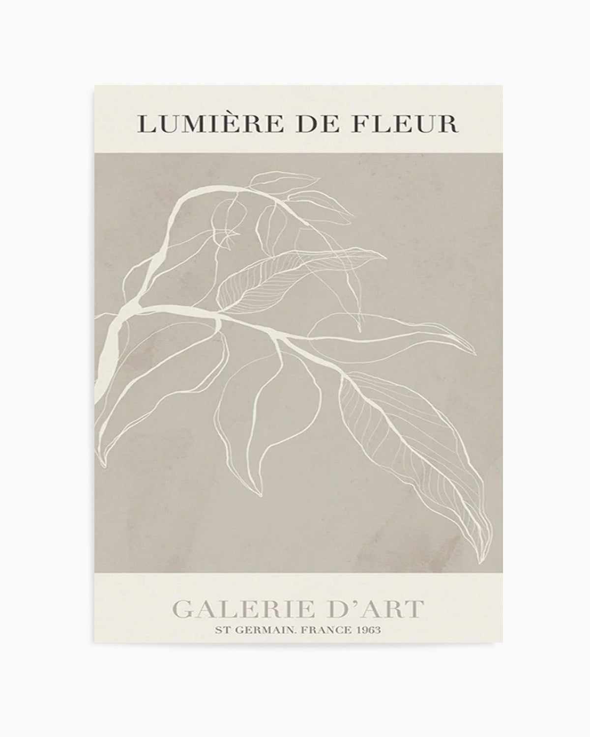 Lumiere De Fleur I Art Print