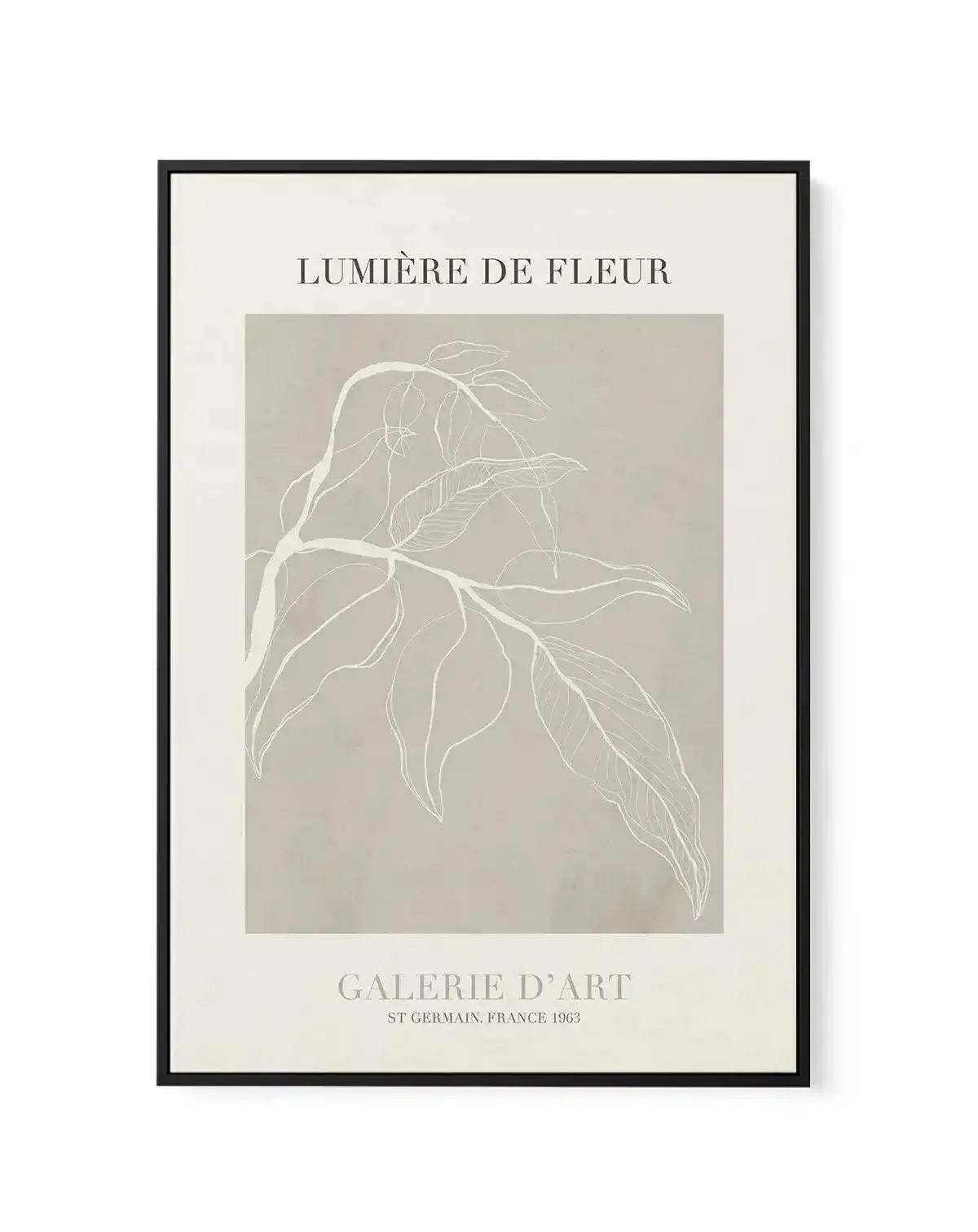 Lumiere De Fleur I | Framed Canvas-CANVAS-You can shop wall art online with Olive et Oriel for everything from abstract art to fun kids wall art. Our beautiful modern art prints and canvas art are available from large canvas prints to wall art paintings and our proudly Australian artwork collection offers only the highest quality framed large wall art and canvas art Australia - You can buy fashion photography prints or Hampton print posters and paintings on canvas from Olive et Oriel and have th
