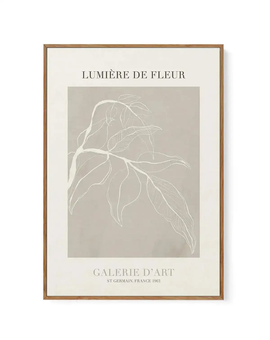Lumiere De Fleur I | Framed Canvas-CANVAS-You can shop wall art online with Olive et Oriel for everything from abstract art to fun kids wall art. Our beautiful modern art prints and canvas art are available from large canvas prints to wall art paintings and our proudly Australian artwork collection offers only the highest quality framed large wall art and canvas art Australia - You can buy fashion photography prints or Hampton print posters and paintings on canvas from Olive et Oriel and have th