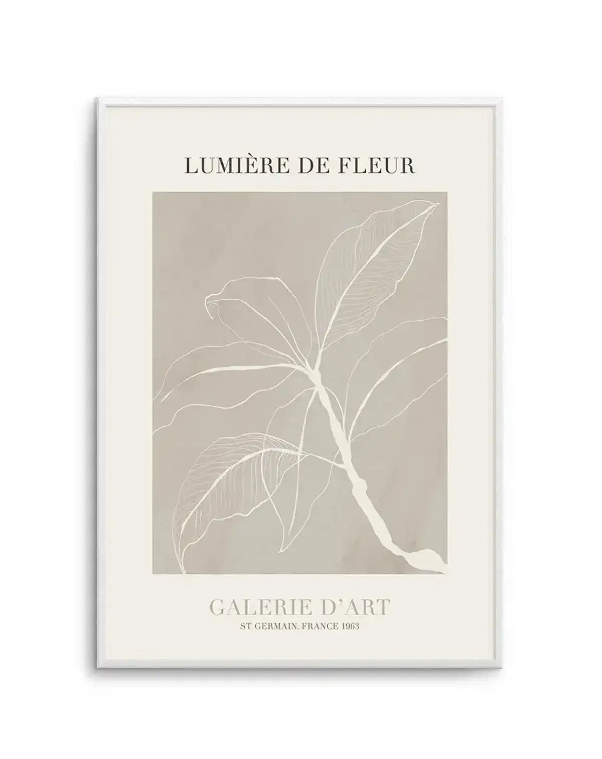 Lumiere De Fleur II Art Print-PRINT-Olive et Oriel-Olive et Oriel-A5 | 5.8" x 8.3" | 14.8 x 21cm-Unframed Art Print-With White Border-Buy-Australian-Art-Prints-Online-with-Olive-et-Oriel-Your-Artwork-Specialists-Austrailia-Decorate-With-Coastal-Photo-Wall-Art-Prints-From-Our-Beach-House-Artwork-Collection-Fine-Poster-and-Framed-Artwork