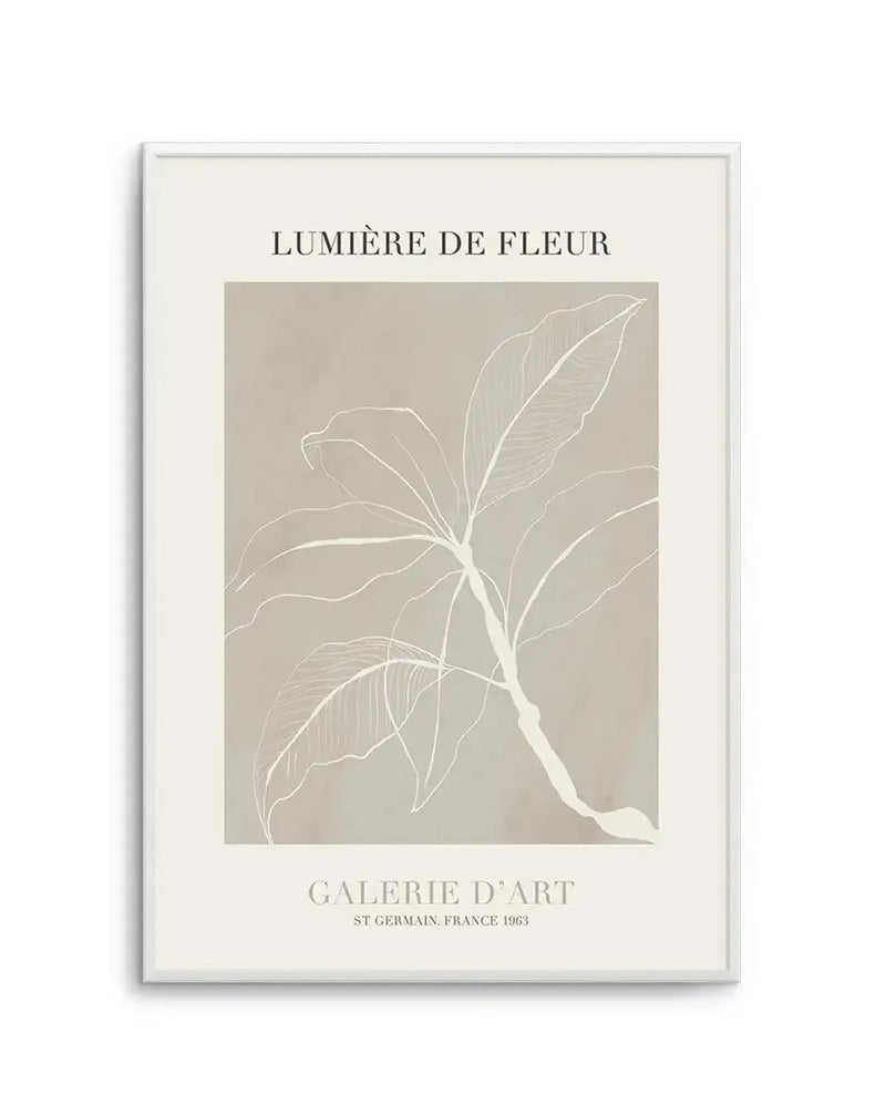 Lumiere De Fleur II Art Print-PRINT-Olive et Oriel-Olive et Oriel-A5 | 5.8" x 8.3" | 14.8 x 21cm-Unframed Art Print-With White Border-Buy-Australian-Art-Prints-Online-with-Olive-et-Oriel-Your-Artwork-Specialists-Austrailia-Decorate-With-Coastal-Photo-Wall-Art-Prints-From-Our-Beach-House-Artwork-Collection-Fine-Poster-and-Framed-Artwork