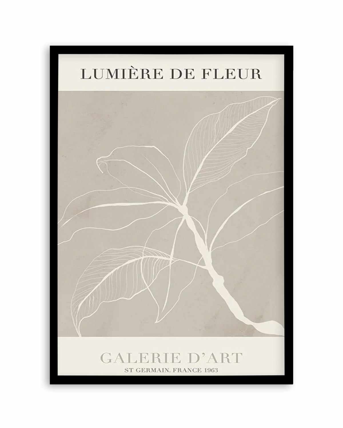 Lumiere De Fleur II Art Print