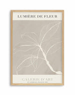 Lumiere De Fleur II Art Print