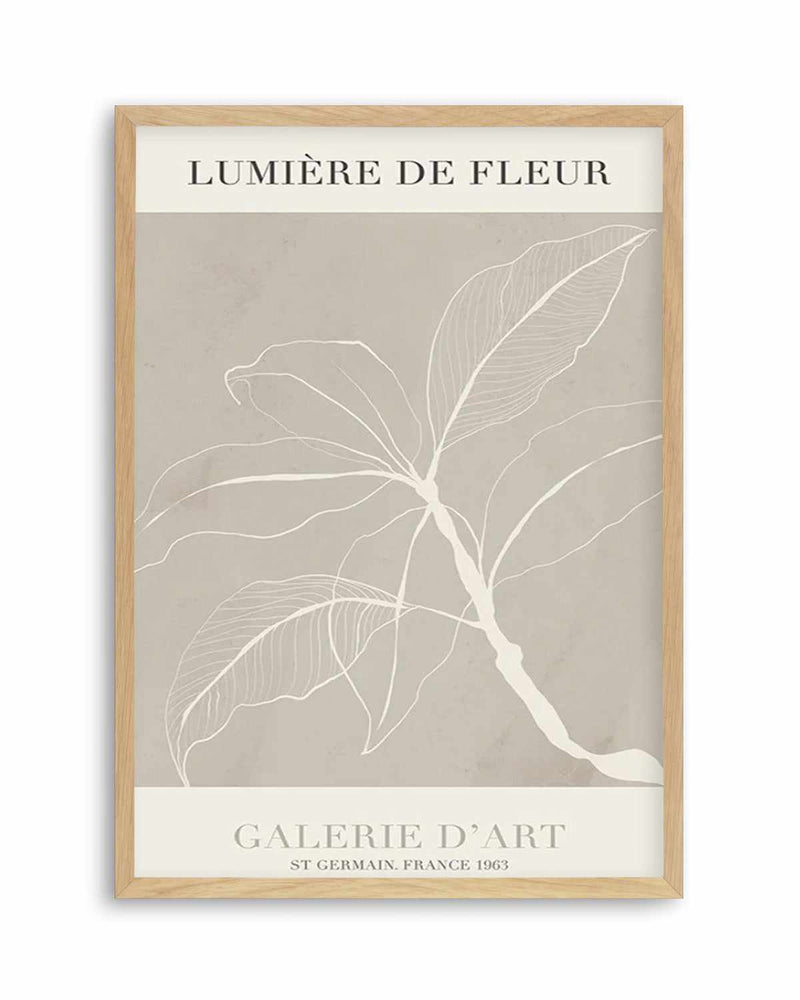 Lumiere De Fleur II Art Print