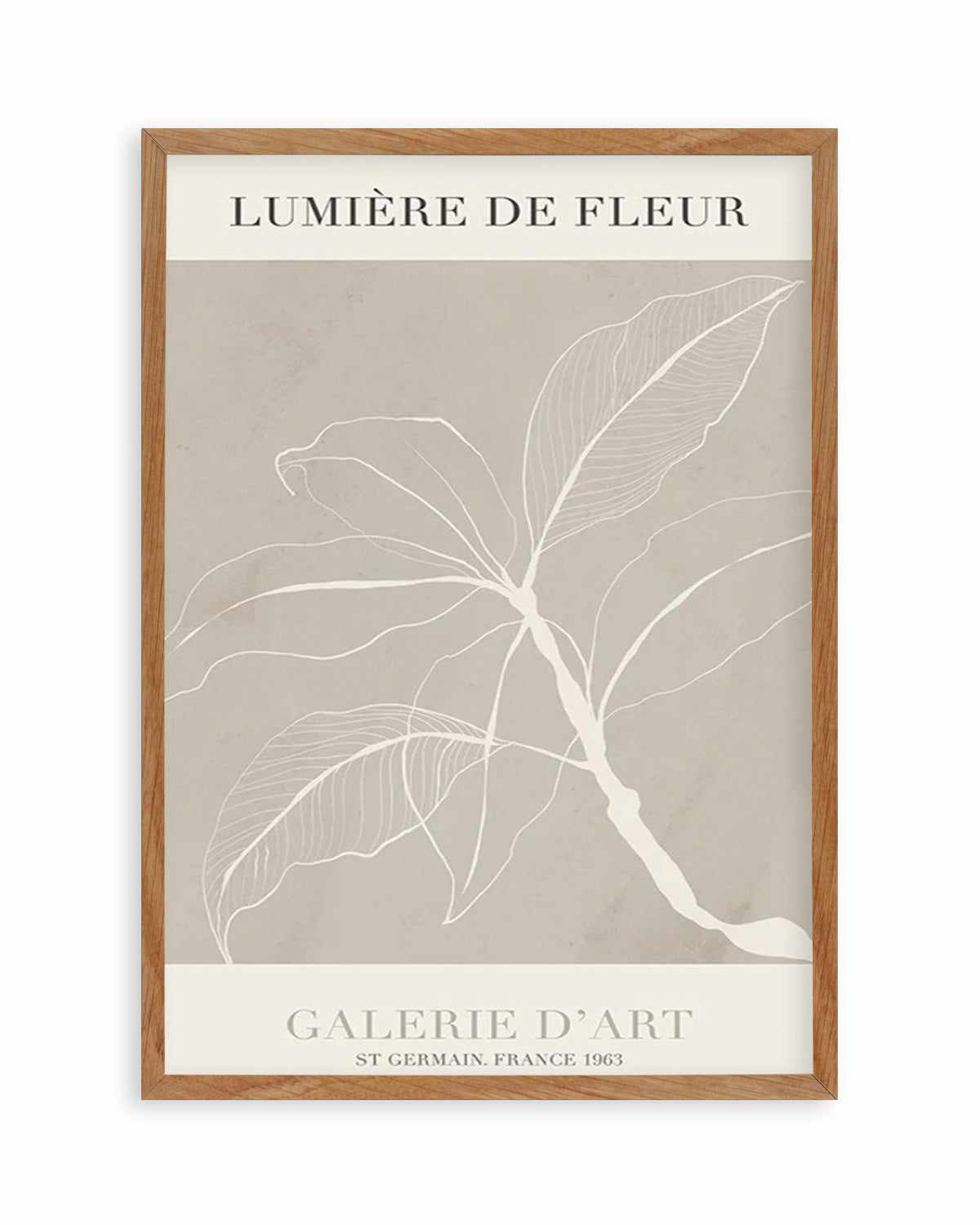 Lumiere De Fleur II Art Print