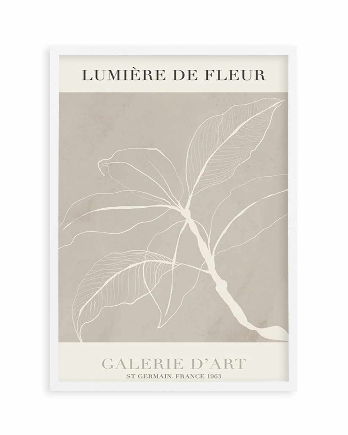 Lumiere De Fleur II Art Print