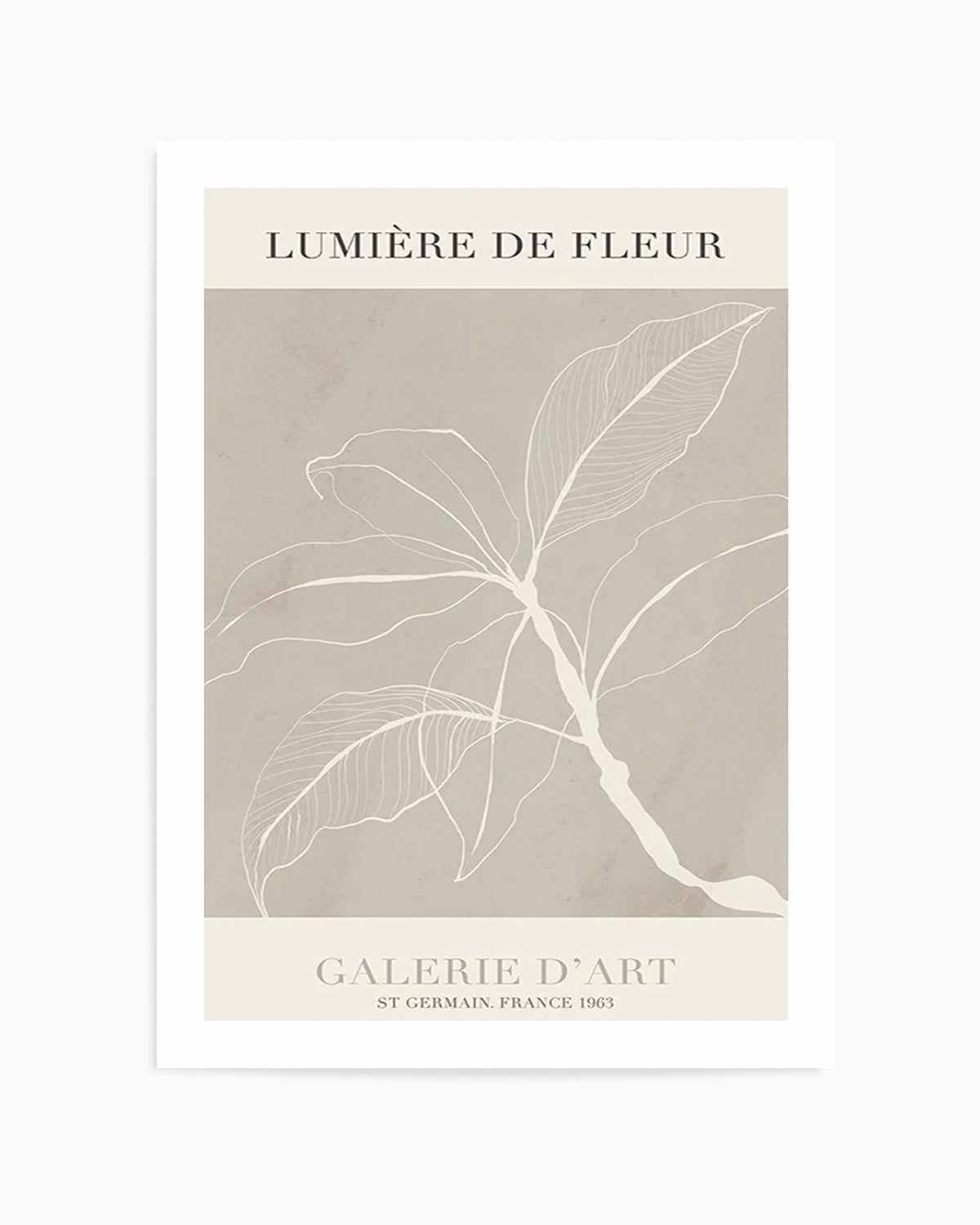 Lumiere De Fleur II Art Print