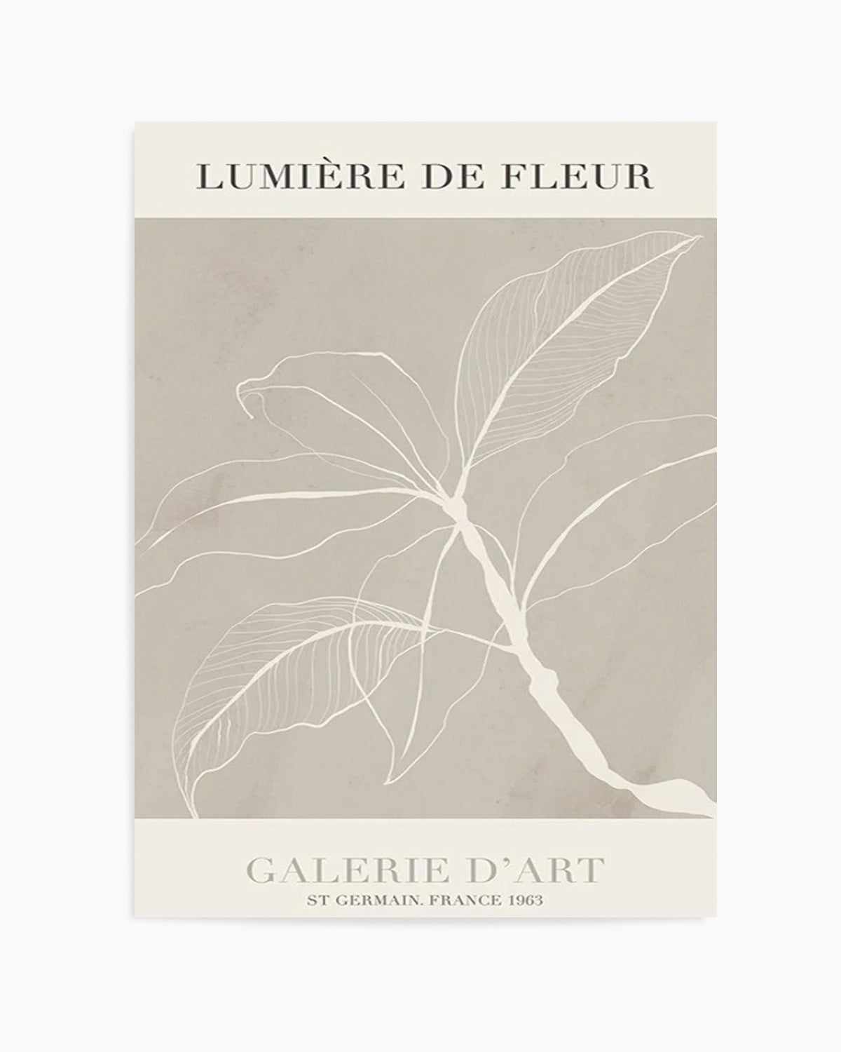 Lumiere De Fleur II Art Print