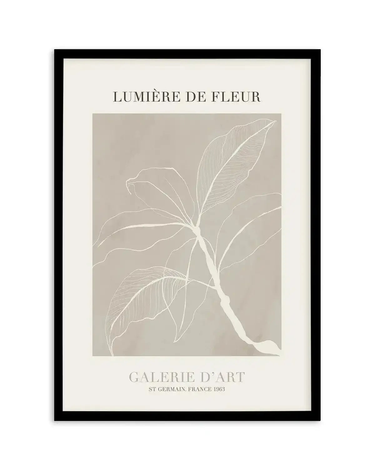 Lumiere De Fleur II Art Print-PRINT-Olive et Oriel-Olive et Oriel-A5 | 5.8" x 8.3" | 14.8 x 21cm-Black-With White Border-Buy-Australian-Art-Prints-Online-with-Olive-et-Oriel-Your-Artwork-Specialists-Austrailia-Decorate-With-Coastal-Photo-Wall-Art-Prints-From-Our-Beach-House-Artwork-Collection-Fine-Poster-and-Framed-Artwork
