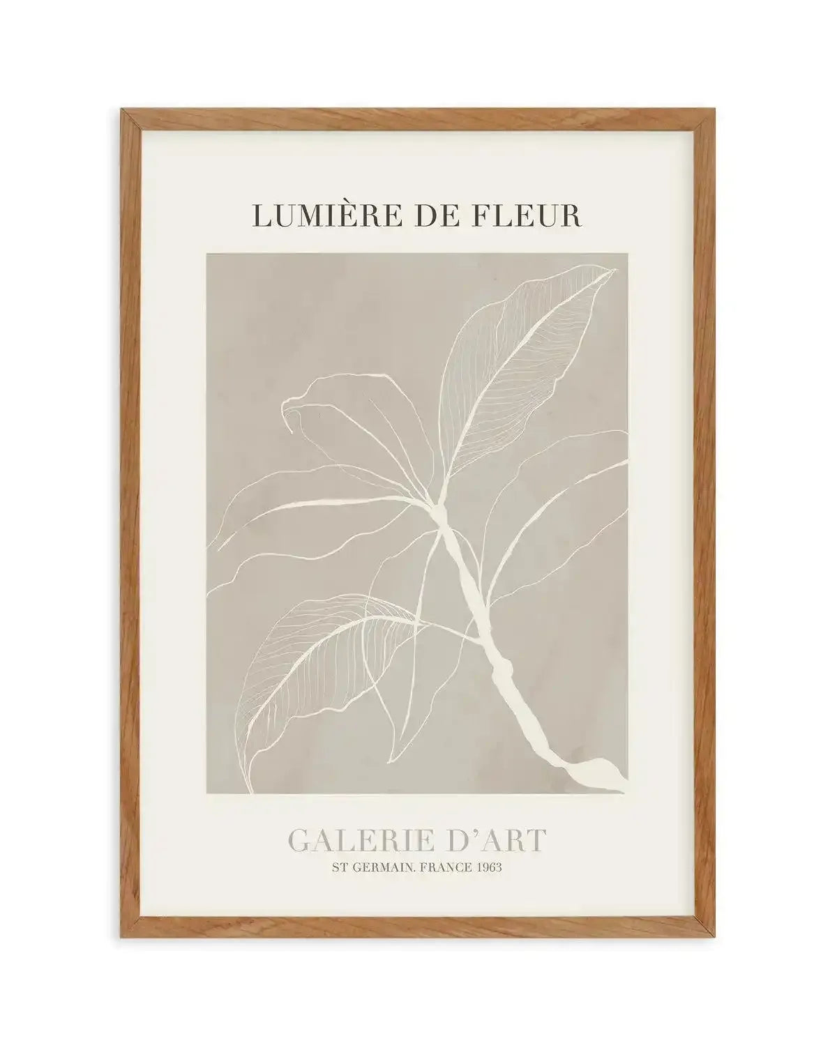 Lumiere De Fleur II Art Print-PRINT-Olive et Oriel-Olive et Oriel-50x70 cm | 19.6" x 27.5"-Walnut-With White Border-Buy-Australian-Art-Prints-Online-with-Olive-et-Oriel-Your-Artwork-Specialists-Austrailia-Decorate-With-Coastal-Photo-Wall-Art-Prints-From-Our-Beach-House-Artwork-Collection-Fine-Poster-and-Framed-Artwork