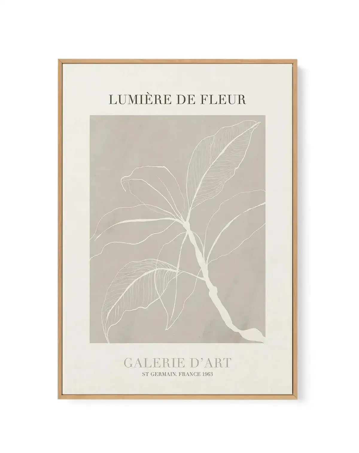 Lumiere De Fleur II | Framed Canvas-CANVAS-You can shop wall art online with Olive et Oriel for everything from abstract art to fun kids wall art. Our beautiful modern art prints and canvas art are available from large canvas prints to wall art paintings and our proudly Australian artwork collection offers only the highest quality framed large wall art and canvas art Australia - You can buy fashion photography prints or Hampton print posters and paintings on canvas from Olive et Oriel and have t